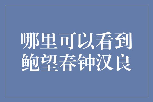 哪里可以看到鲍望春钟汉良