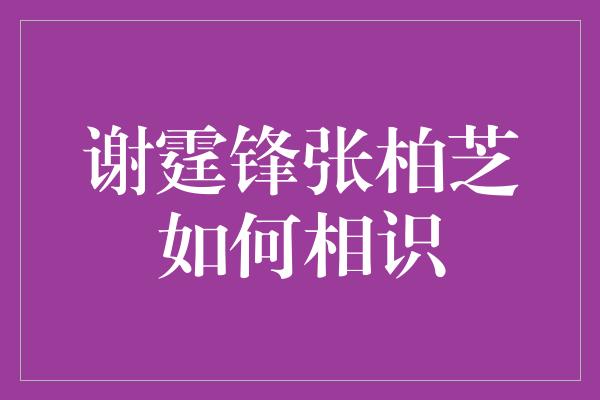 谢霆锋张柏芝如何相识