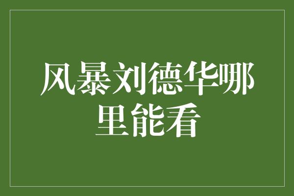 风暴刘德华哪里能看