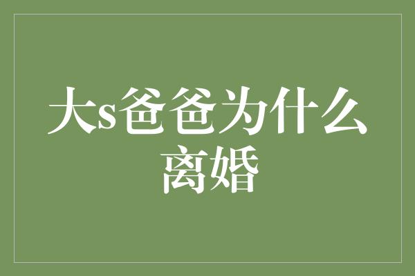 大s爸爸为什么离婚