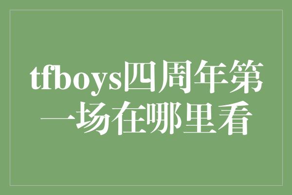 tfboys四周年第一场在哪里看