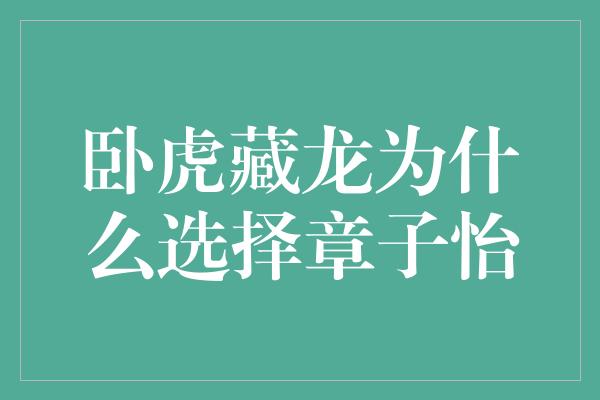 卧虎藏龙为什么选择章子怡