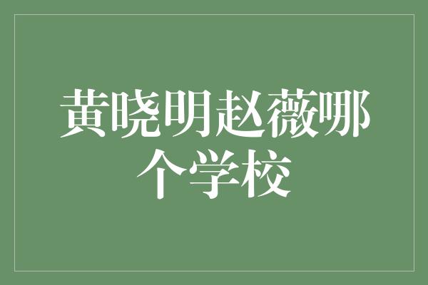 黄晓明赵薇哪个学校