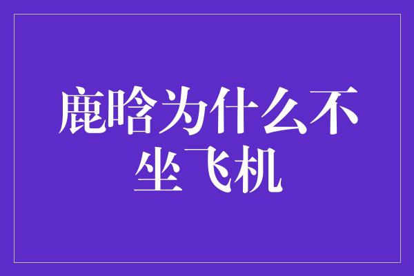 鹿晗为什么不坐飞机