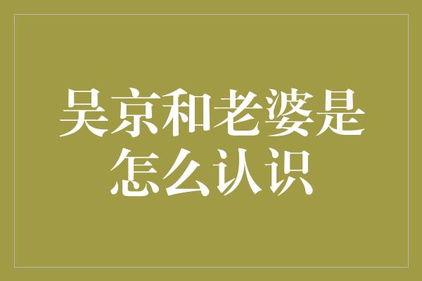 吴京和老婆是怎么认识