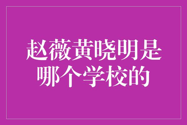 赵薇黄晓明是哪个学校的