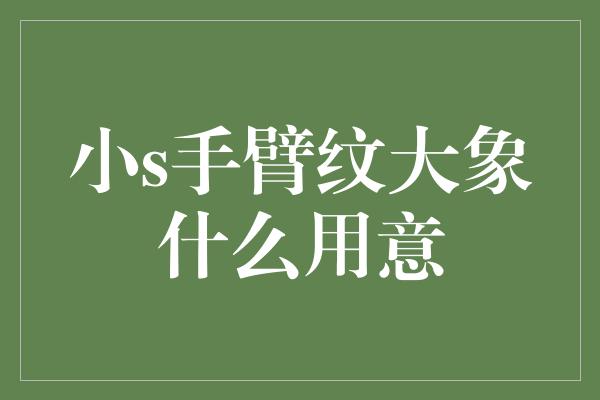 小s手臂纹大象什么用意