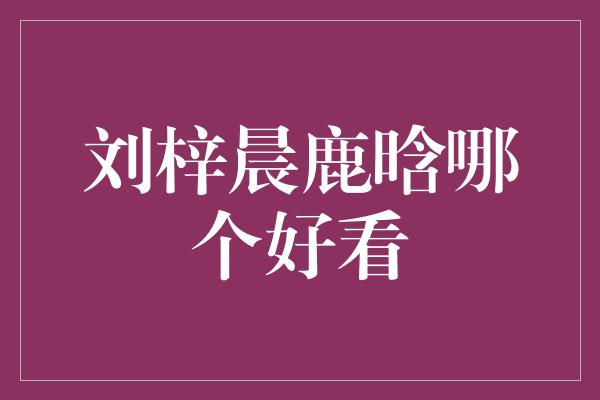 刘梓晨鹿晗哪个好看