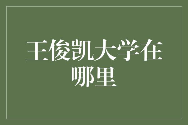 王俊凯大学在哪里