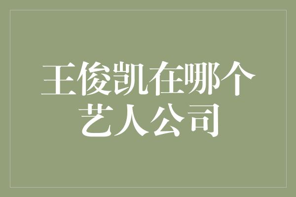 王俊凯在哪个艺人公司