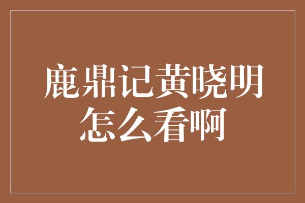 鹿鼎记黄晓明怎么看啊