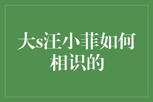 大s汪小菲如何相识的