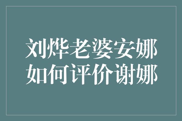 刘烨老婆安娜如何评价谢娜