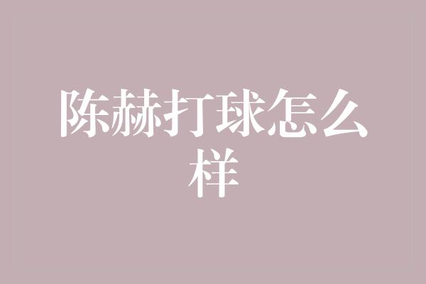 陈赫打球怎么样