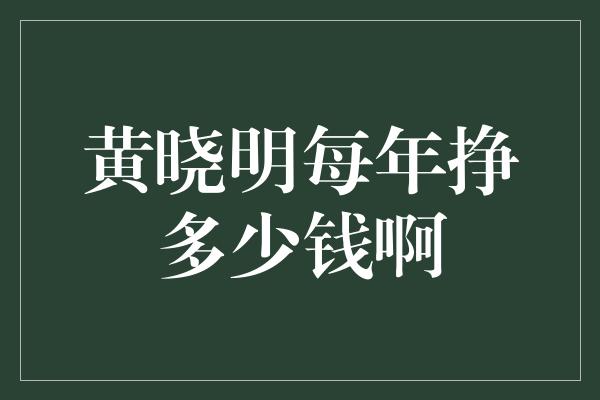 黄晓明每年挣多少钱啊