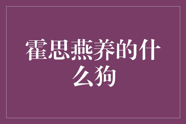 霍思燕养的什么狗