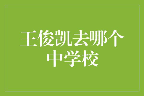 王俊凯选择就读的中学校，引发粉丝热议