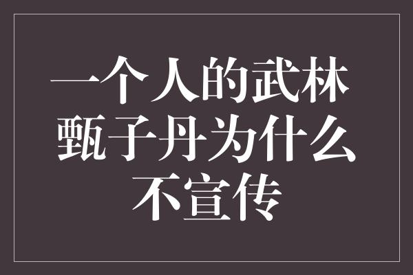 一个人的武林 甄子丹为什么不宣传