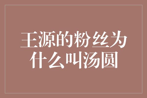 王源的粉丝为什么叫汤圆