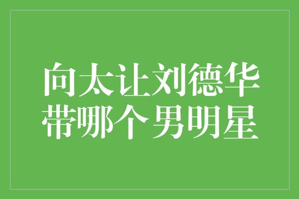 向太点名刘德华带领男明星，共筑娱乐圈新辉煌