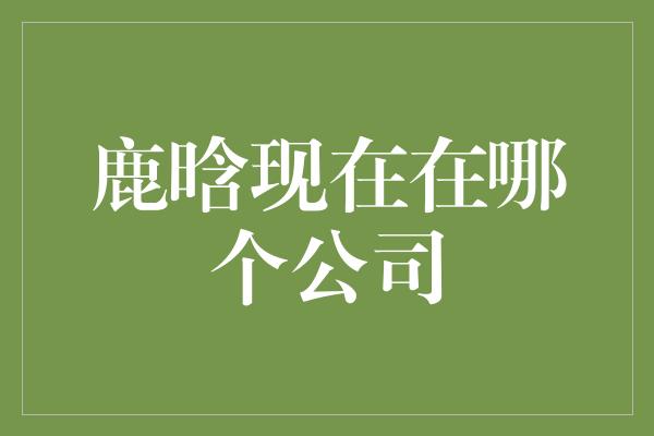 揭秘鹿晗的新公司——他的星途又将如何闪耀？