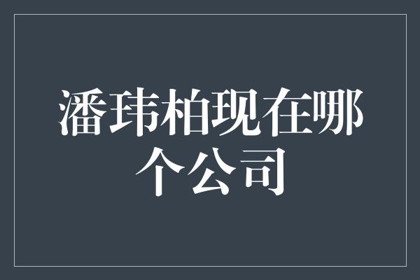 潘玮柏现在是哪个公司的艺人？揭秘他的最新动向