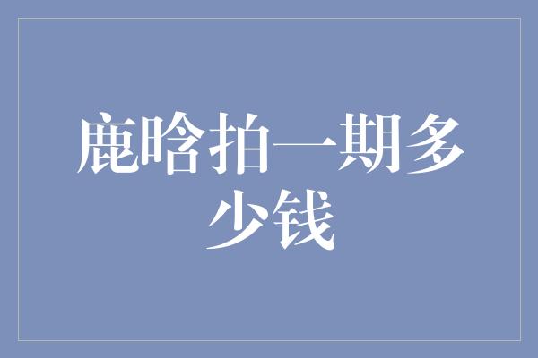 揭秘鹿晗拍摄一期的巨额费用