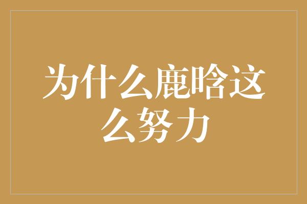 鹿晗的努力为何如此让人钦佩？