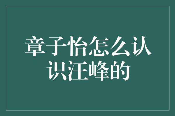 章子怡怎么认识汪峰的