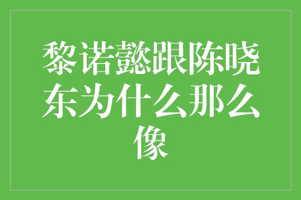 谜团揭秘：黎诺懿与陈晓东为何如此神似？