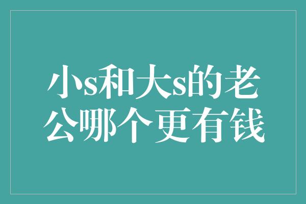 小s和大s的老公哪个更有钱