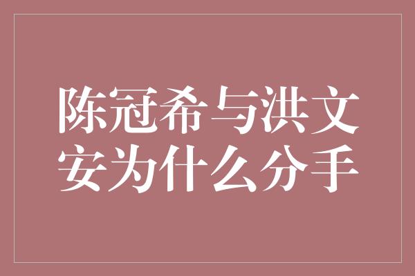 陈冠希与洪文安为什么分手