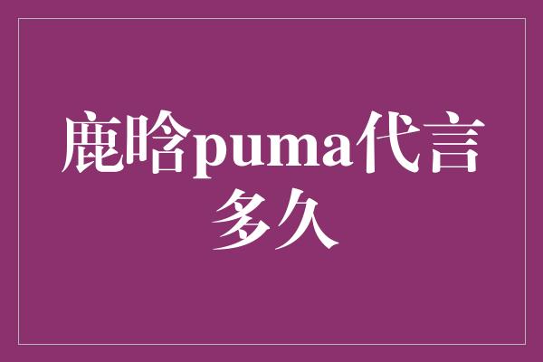 鹿晗puma代言多久