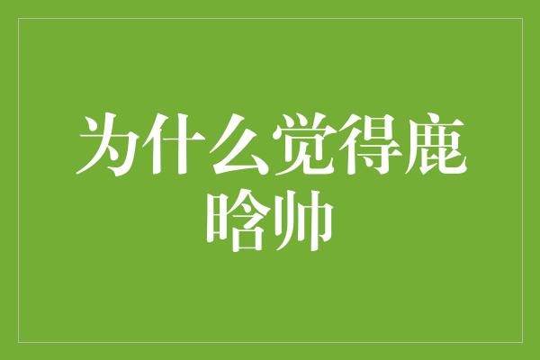 为什么觉得鹿晗帅