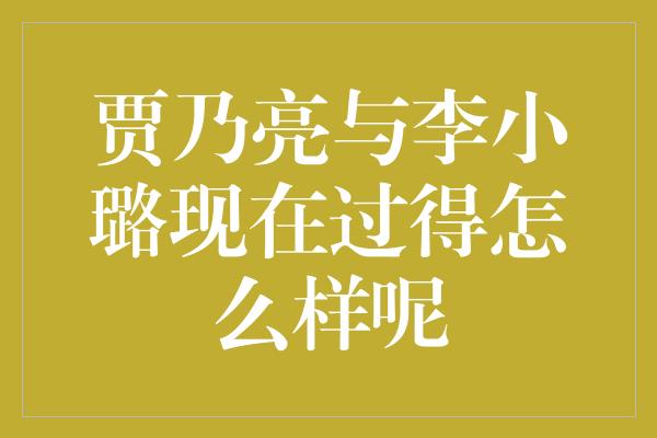 贾乃亮与李小璐现在过得怎么样呢