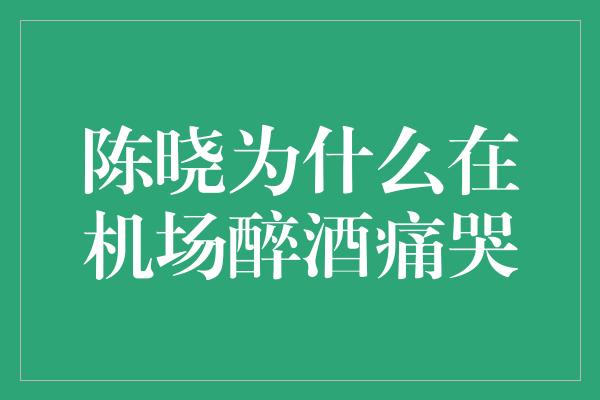 曝光！揭秘陈晓为何在机场醉酒痛哭的真相