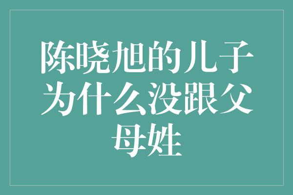 陈晓旭的儿子为什么没跟父母姓