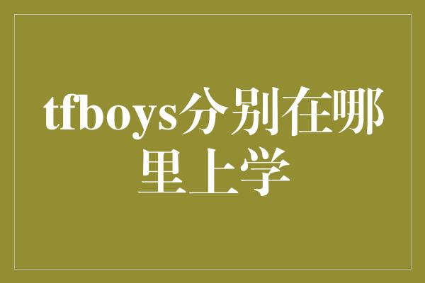 tfboys分别在哪里上学