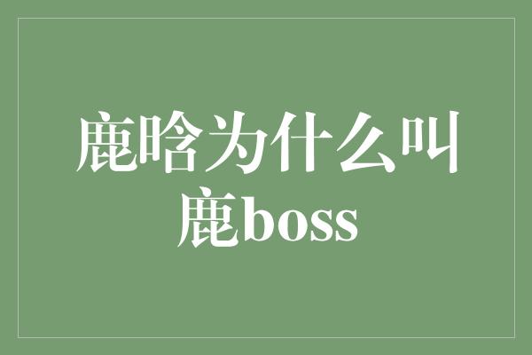 鹿晗为什么叫鹿boss