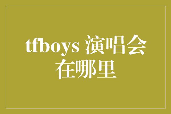 tfboys 演唱会在哪里