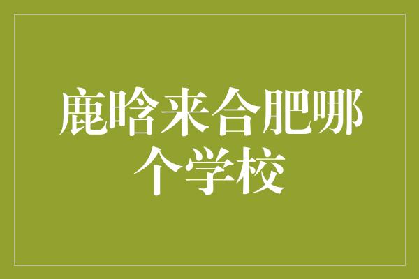 鹿晗来合肥哪个学校