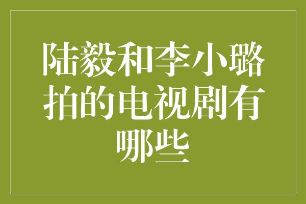 陆毅和李小璐拍的电视剧有哪些