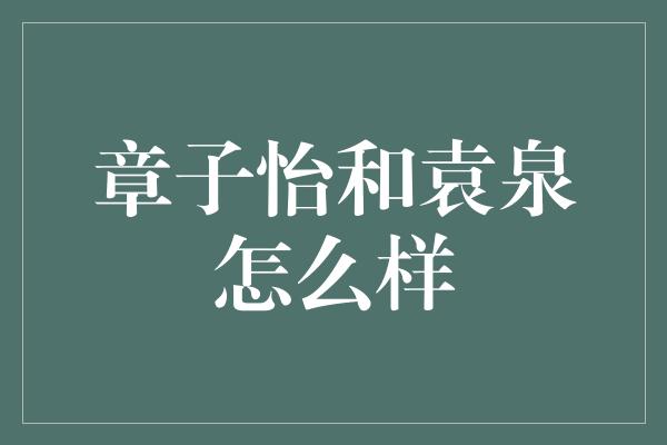 章子怡和袁泉怎么样