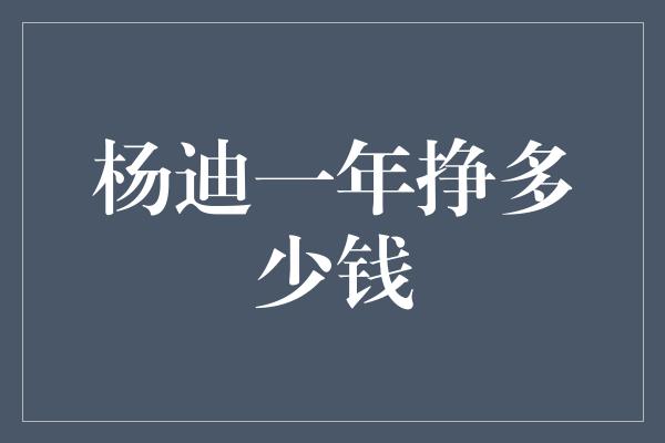 杨迪一年挣多少钱