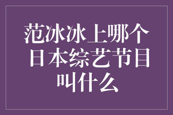 范冰冰上哪个日本综艺节目叫什么