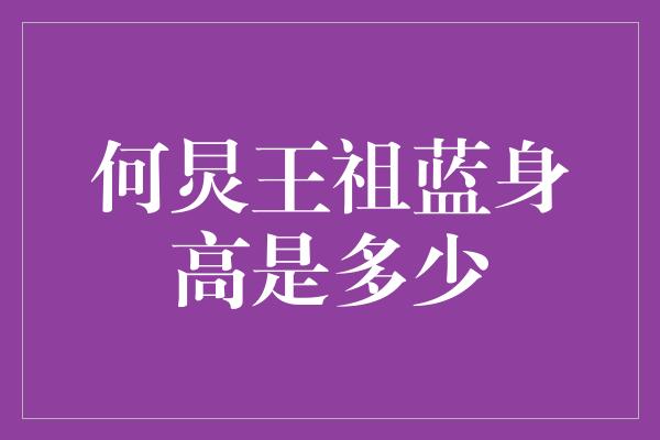 何炅王祖蓝身高是多少