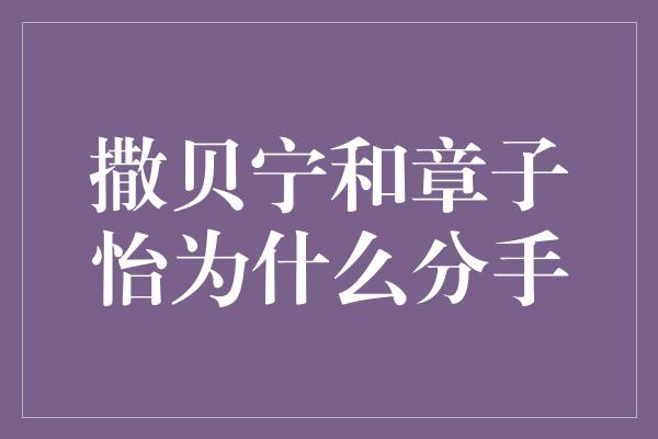 撒贝宁和章子怡为什么分手