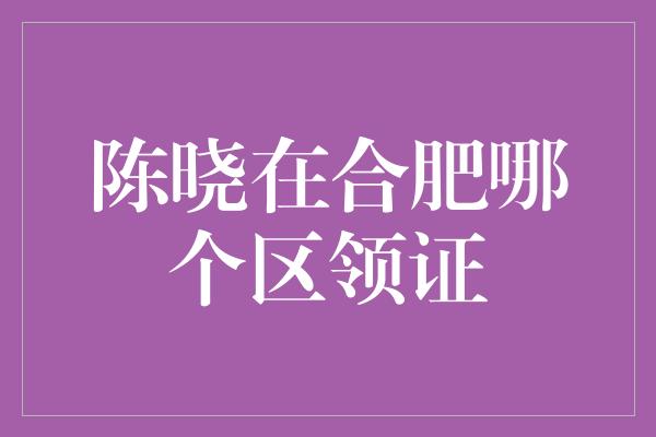 陈晓在合肥哪个区领证