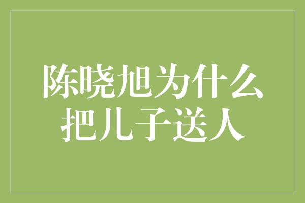 陈晓旭为什么把儿子送人