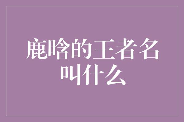 鹿晗的王者名叫什么